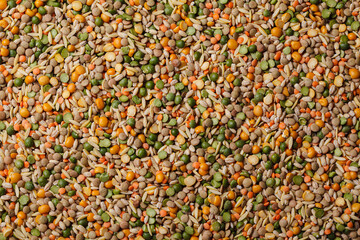 Raw beans of different types background.