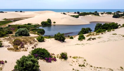 A scenic coastal landscape features rolling sand dunes surrounding a tranquil lake. Lush green vegetation dotted the landscape. The ocean can be seen