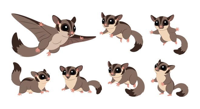 Cute sugar glider characters with different poses and actions.