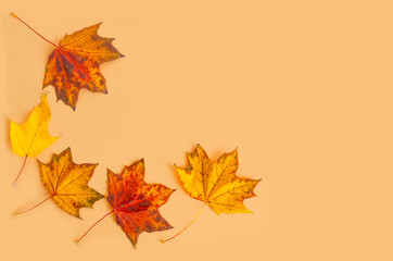 Autumn maple leaves on a yellow background with copy space. Flat lay.