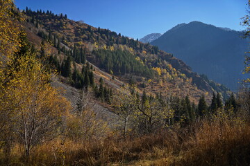 Ile-Alatau National Nature Park. Mountainous area with different vegetation, near Lake Issyk.