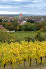 Autumn vineyard overlooking Retzbach village in Lower Austria