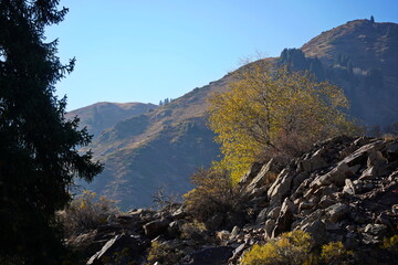 Ile-Alatau National Nature Park. Mountainous area with different vegetation, near Lake Issyk.