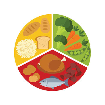Healthy eating plate divided into food groups for balanced nutrition and diet planning vector