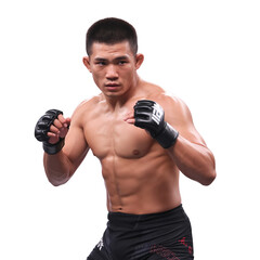Fototapeta premium A professional sports photograph of a muscular Asian male MMA fighter in a fighting stance against a white background. Isolated on a transparent background.