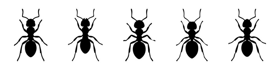 Ant silhouette icons set. Black ant vectors in various ants, insect symbol.