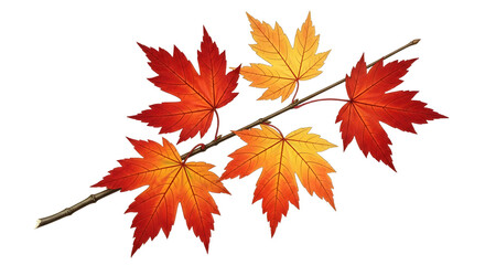 Fototapeta premium Vibrant Autumn Maple Branch with Five Leaves in Warm Hues, Symbolizing Seasonal Change and Nature's Beauty