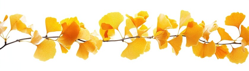 Fototapeta premium Captivating autumn foliage nature park photography outdoor close-up botanical beauty