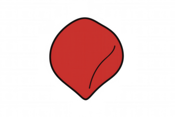 Red cartoon rose petal illustration with black outline, falling flower element, love and romance concept, transparent background