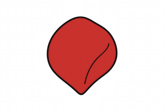 Red cartoon rose petal illustration with black outline, falling flower element, love and romance concept, transparent background