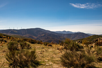 Verbrannte Landschaft in Galicien in Spanien am Jacobsweg