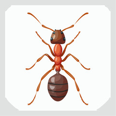 vector illustration of cartoon ant