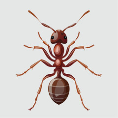 vector illustration of a bug