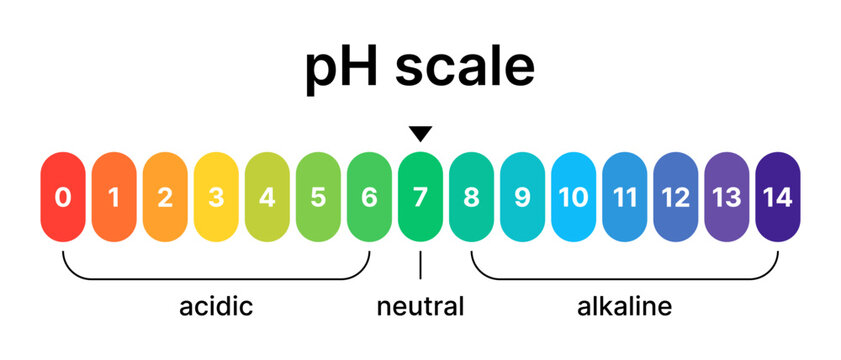 Ph acid and base balance scale. Value on the meter indicator. Design of a test for water, skin, and food using litmus paper.