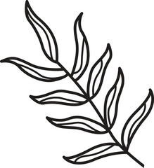 Summer palm leaf vector green plant, exotic nature set isolated on white background. Jungle illustration