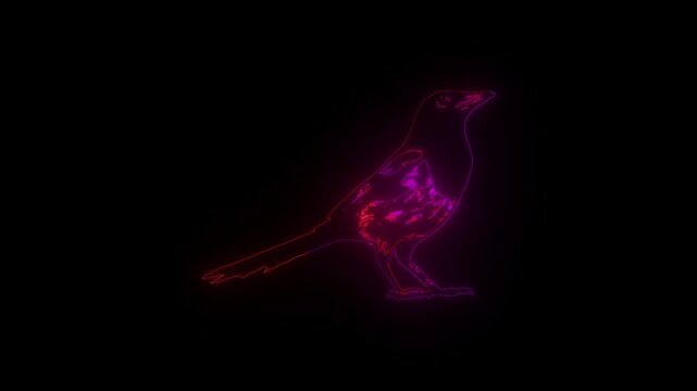 Neon outline of a bird with pink and red hues on a black background