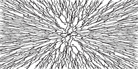 Circular starburst explosion texture. Distressed uneven grunge background. Abstract vector illustration. Overlay to create interesting effect and depth. Isolated on white background.