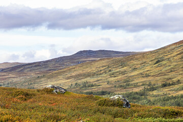 Swedish wilderness mountain cloudy day landscape first autumn colors.