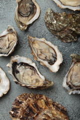 Scattered across a dark gray textured surface, several freshly opened oysters reveal their glistening interiors alongside rough, rugged shells, the essence of gourmet seafood delicacies