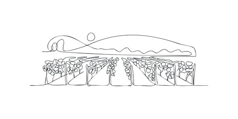 Vineyard landscape continuous line drawing with sun