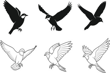 Black and White Flying Birds Vector Set - Silhouette and Outline Collection.