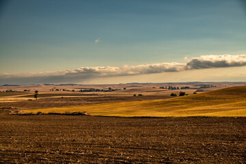 Landschaft in der Meseta am Jacobsweg