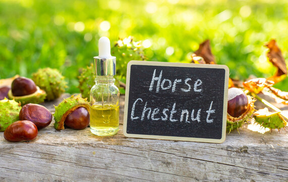 Horse chestnut tincture and supplements. Selective focus. - Powered by Adobe