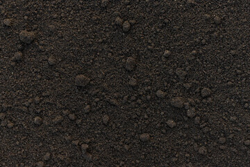 Soil in a man hands. Selective focus.