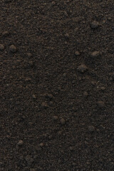 Soil in a man hands. Selective focus.