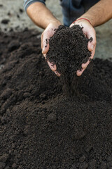 Soil in a man hands. Selective focus.