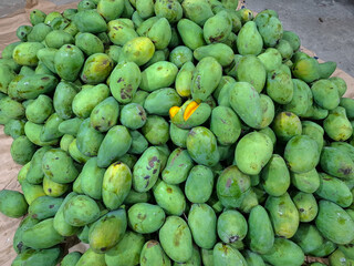 Pile of fresh green mangoes displayed at a market. Tropical exotic fruits with natural texture and vibrant color, showing freshness and organic produce ready for sale.