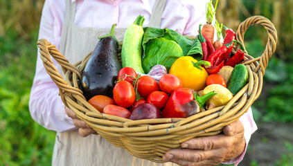 farmers market with vegetables. Selective focus.