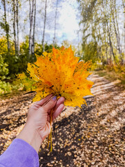 A hand holds a fallen autumn leaf against a beautiful view of nature.