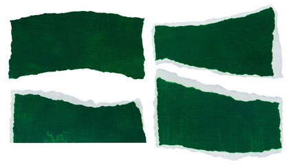 Set of green ripped paper pieces isolated on empty background for creative scrapbooking and collage art © MM