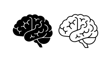Brain anatomy outline with transparent background