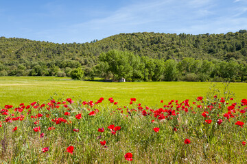 This landscape photo was taken in Europe, Spain, Aragon, Zaragoza, in summer. It shows the countryside in Ardisa, under the Sun.