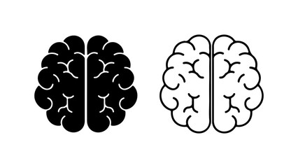 Brain anatomy outline with transparent background