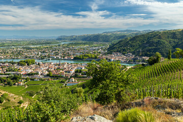 Rhone valley vineyard panorama with a French town © Richard Semik