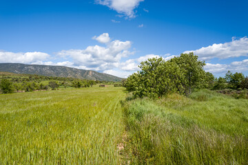 This landscape photo was taken in Europe, Spain, Aragon, Huesca, Samitier, in summer. It shows the...