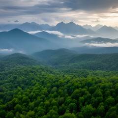 Obraz premium Lush Forest Canopy and Misty Mountain Ranges Under a Cloudy Sky