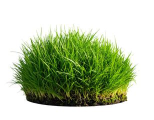 Realistic Green Grass Patch isolated transparent background.
