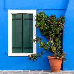 Vivid blue wall with green shutters, white trim, and a potted plant