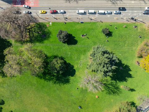 Aerial view of people in a green inner city park with traffic alongside