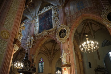 Katedra pw. św. Stanisława B. M. i św. Wacława M w Świdnicy