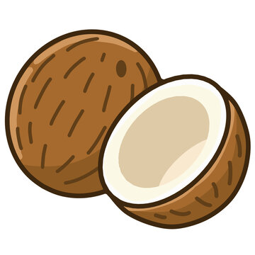 Whole and Half Coconut Tropical Fruit Vector