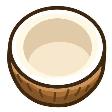 Half Cut Coconut Shell Fresh Fruit Vector