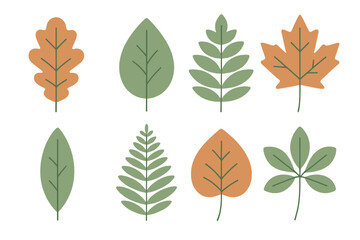 Fototapeta premium Stylized assortment of autumn and summer tree leaves in green and orange hues