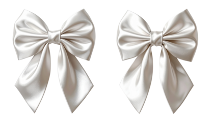 Luxury red silk bow tie accessory isolated on transparent background