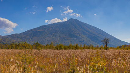 Fototapeta premium 秋の戦場ヶ原 草紅葉と日光男体山 絶景