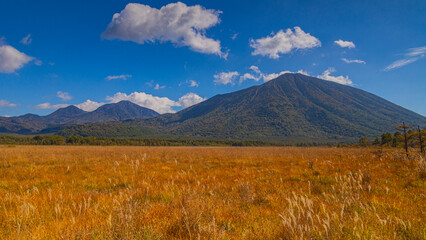 Fototapeta premium 戦場ヶ原の草紅葉と日光男体山 秋の奥日光 絶景